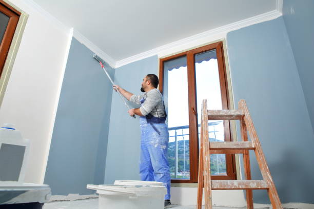 Best Commercial Mold Inspection  in Rehoboth Beach, DE
