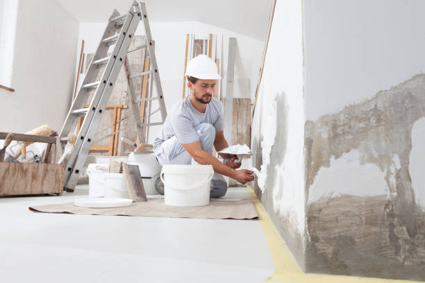 Best Comprehensive Air Testing for Mold Contaminants  in Rehoboth Beach, DE
