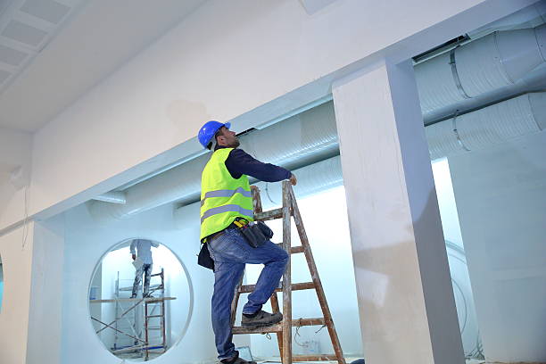  Rehoboth Beach, DE Mold Removal Pros
